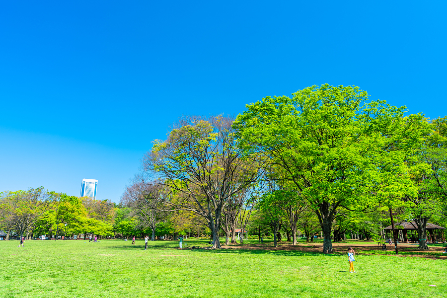 代々木公園