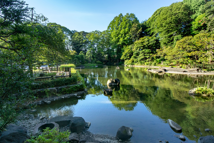 戸越公園の写真
